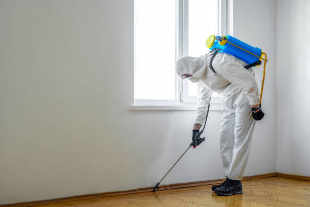 Reliable Lindstrom, MN Pest Control Solutions