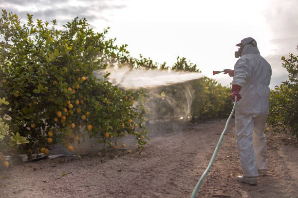 Best Local Pest Control Services  in Lindstrom, MN
